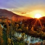 Avatar de Matías Pellegrín